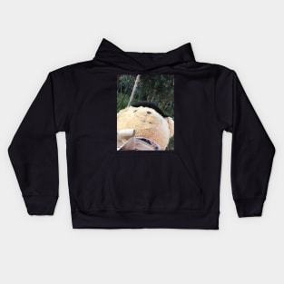 Cuddly Fuzzy Kids Hoodie